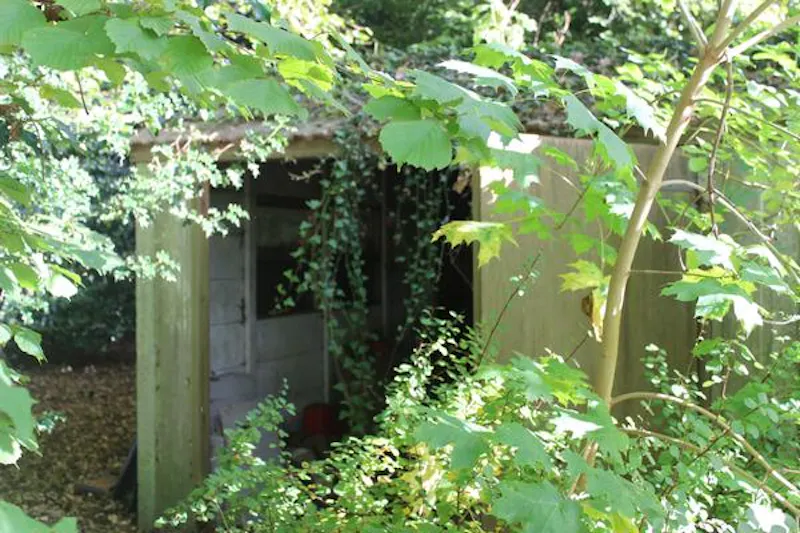 Shed at Cookham home with woodland , E445 (photo 40)
