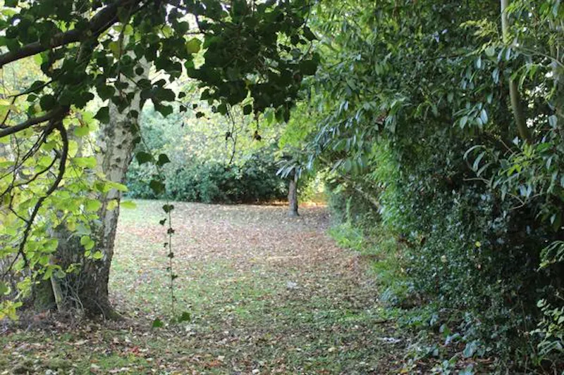 Cookham home with woodland , E445 (photo 52)