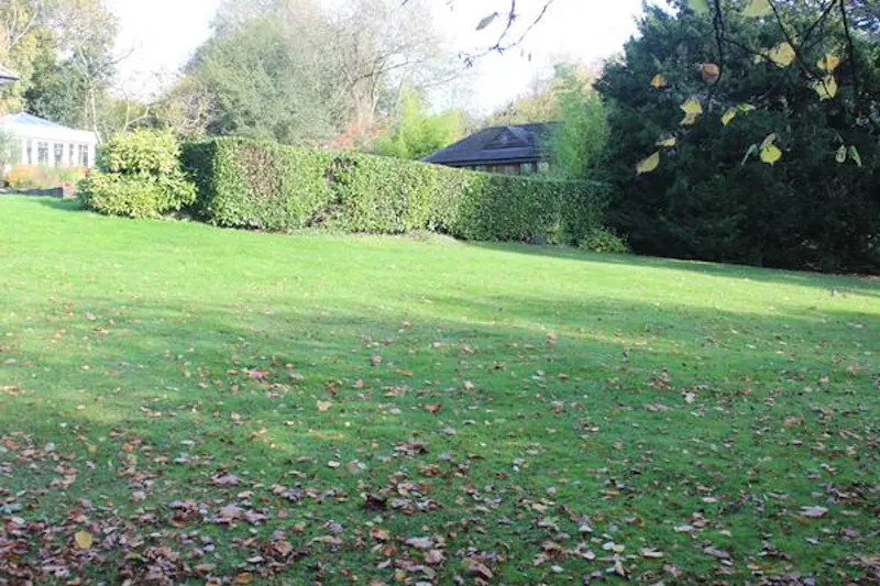 Cookham home with woodland , E445 (photo 53)