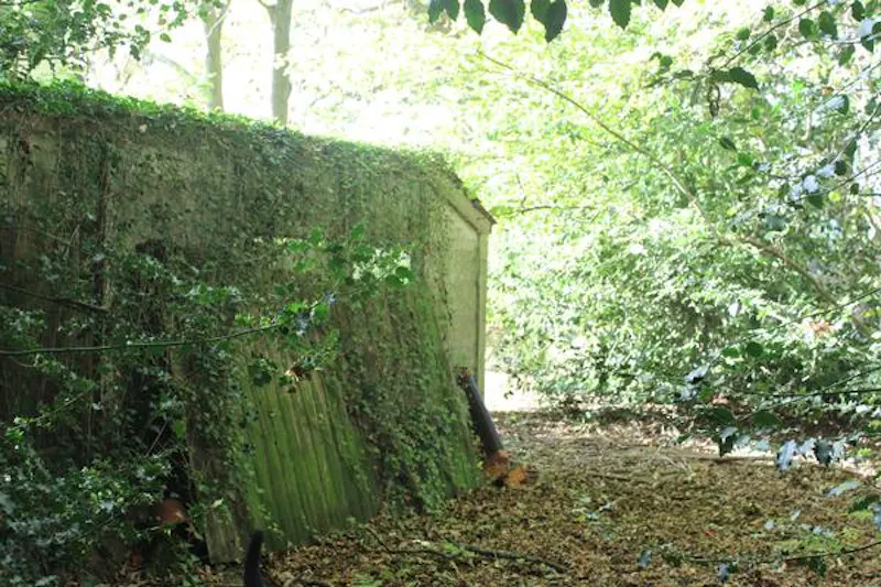 Cookham home with woodland , E445 (photo 55)