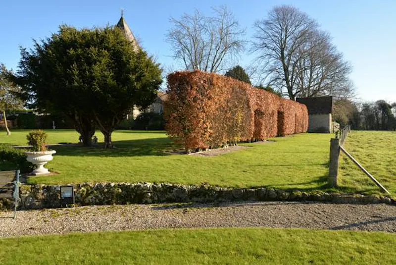 Medieval Manor and Barn, M311 (photo 33)