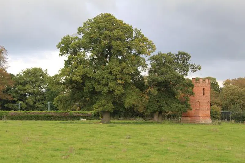 Grade I mansion in Broseley, A1420 (photo 106)