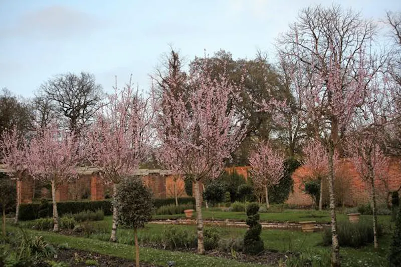 St Neots Grand estate, A1422 (photo 58)