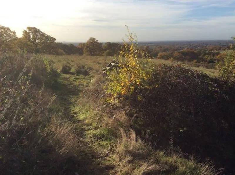 Film location L663 in Middlesex (photo 85)