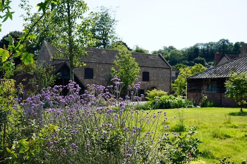 Garden at Portishead medieval retreat, M304 (photo 33)