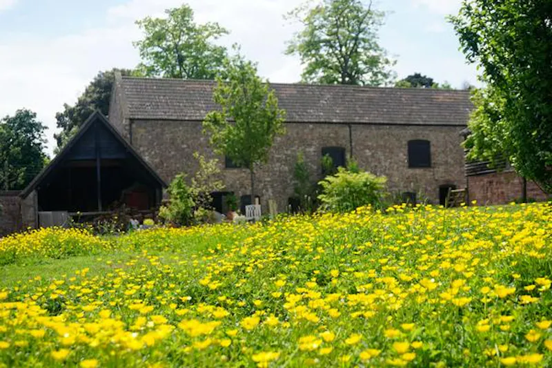 Countryside at Portishead medieval retreat, M304 (photo 35)