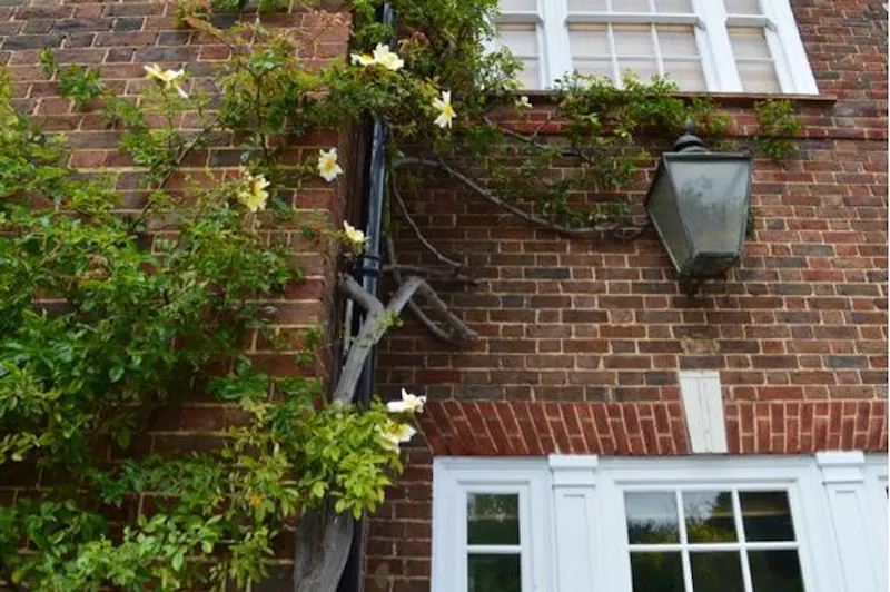 Family house in Dulwich, E440 (photo 68)