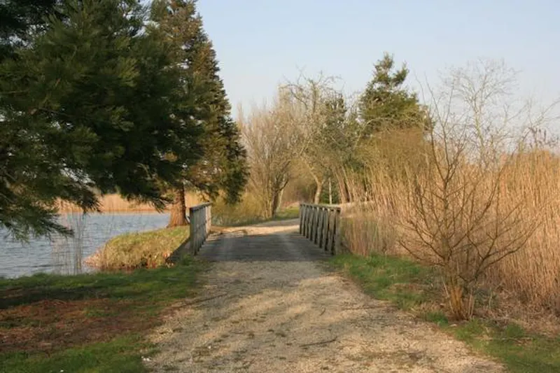 Kemble lakeside cabin, Q124 (photo 93)
