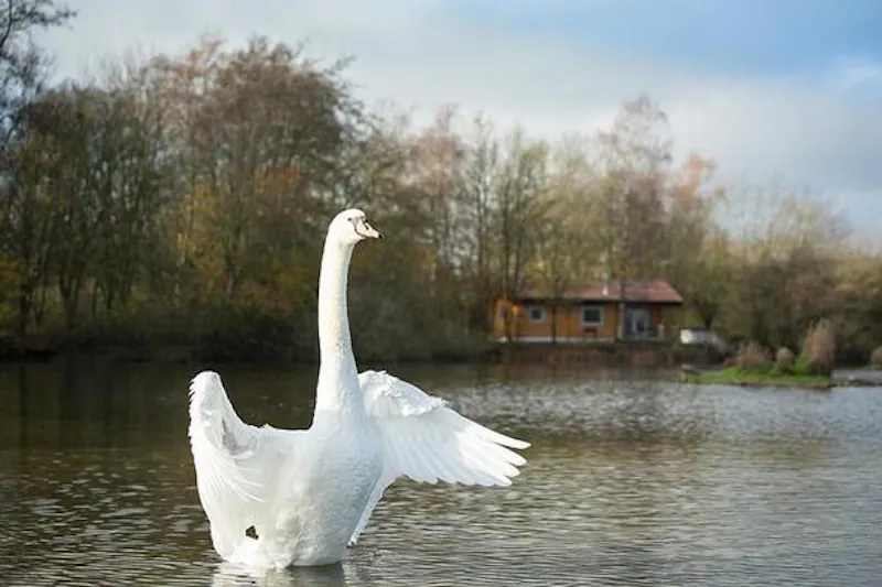 Kemble lakeside cabin, Q124 (photo 103)