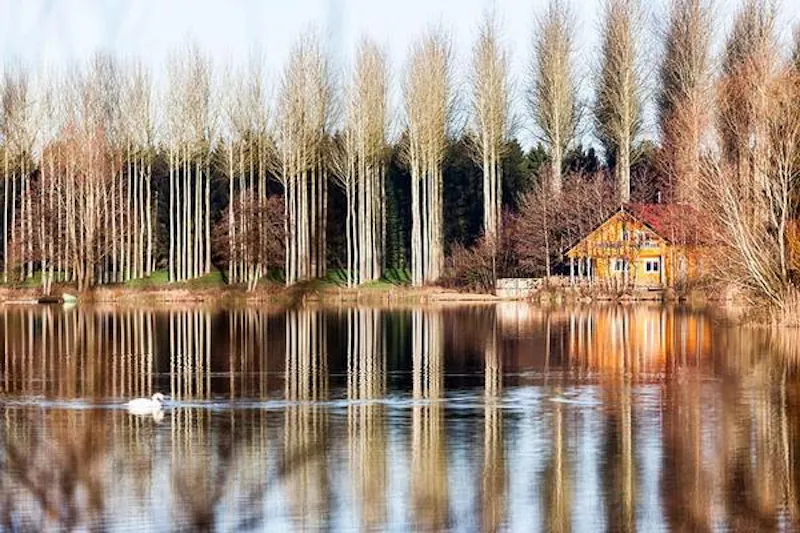 Kemble lakeside cabin, Q124 (photo 110)