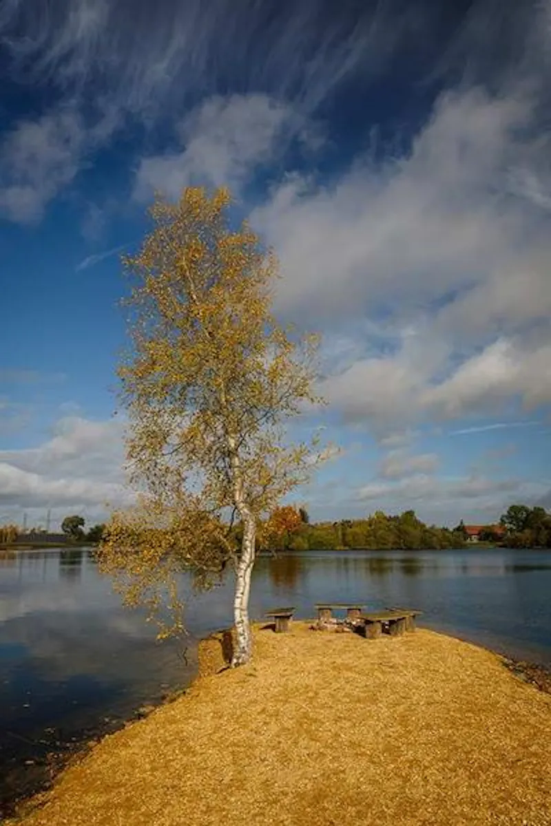 Kemble lakeside cabin, Q124 (photo 145)