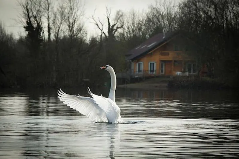 Kemble lakeside cabin, Q124 (photo 146)