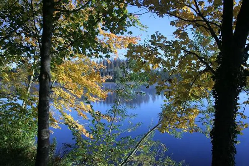 Kemble lakeside cabin, Q124 (photo 166)