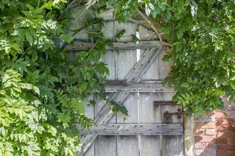 Kentish 17th Century timbered hall, M310 (photo 29)