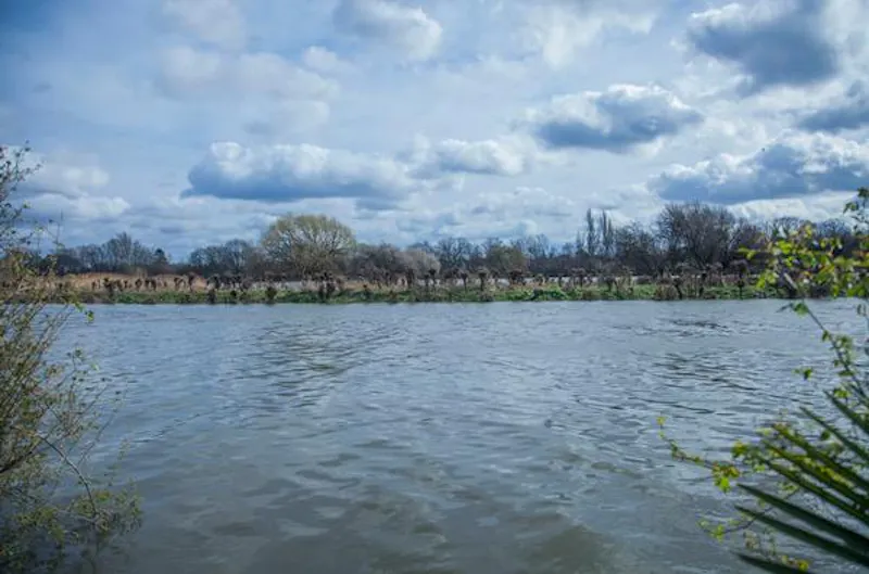 Views - Thames at Tucked away Thames townhouse, A1473 (photo 20)