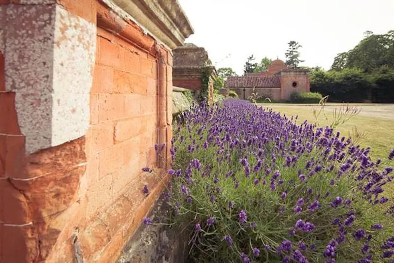 Country manor in Camberley, B1791 (photo 45)