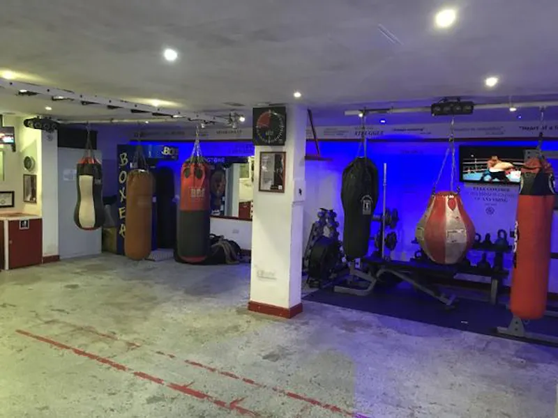 Boxing gym in Euston, Q130 (photo 5)