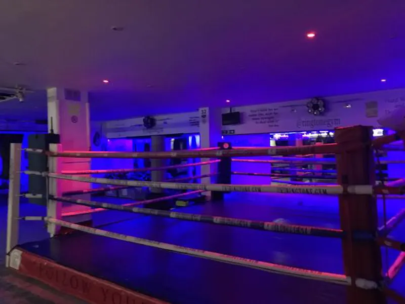 Boxing gym in Euston, Q130 (photo 7)