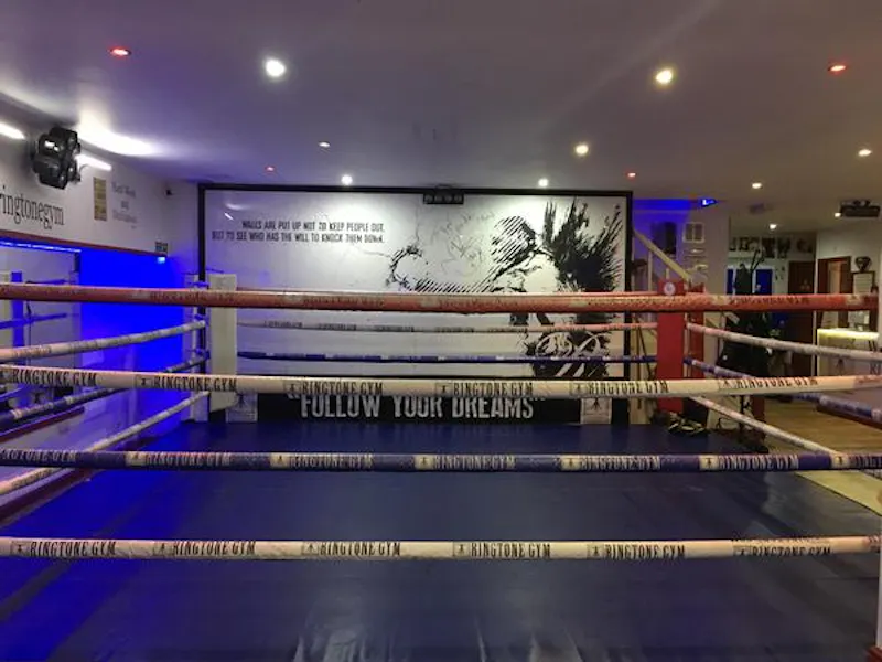 Boxing gym in Euston, Q130 (photo 8)