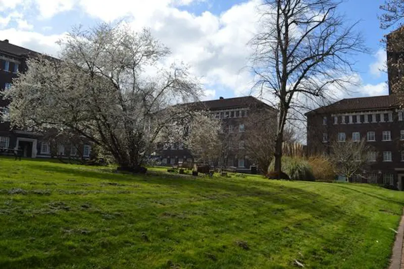 Denmark Hill education campus, P601 (photo 137)