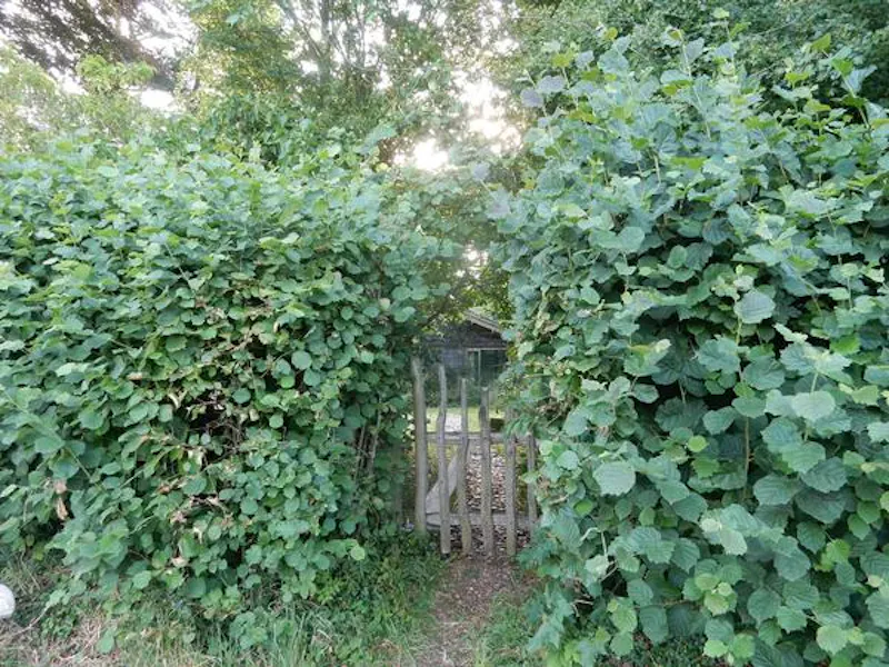 Great Missenden secluded cottage, Q131 (photo 17)