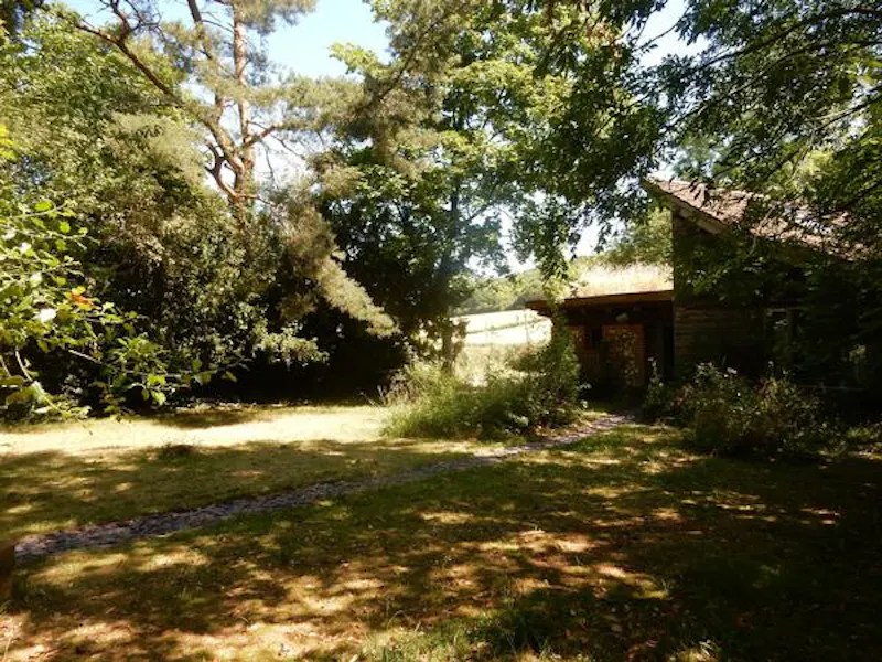Great Missenden secluded cottage, Q131 (photo 23)