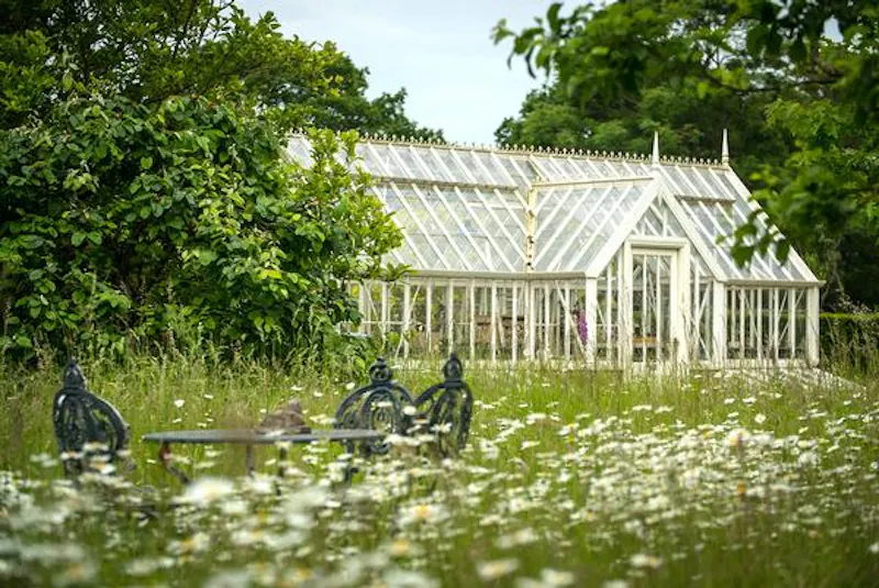 Greenhouse at Film location H180 in West Sussex (photo 32)