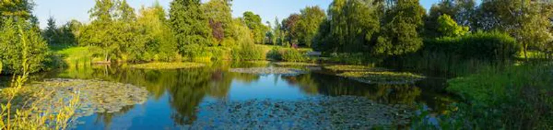 Pond at Film location H180 in West Sussex (photo 39)