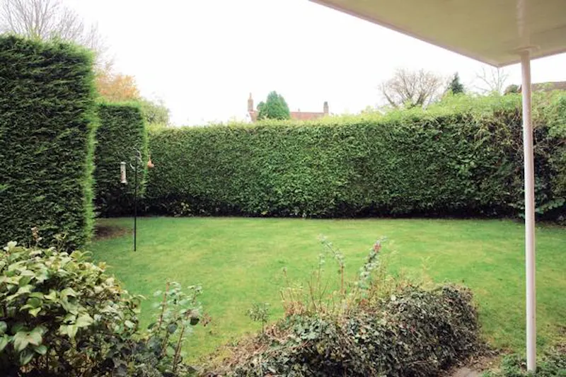 Garden at Wycombe 60's house, D2339 (photo 21)