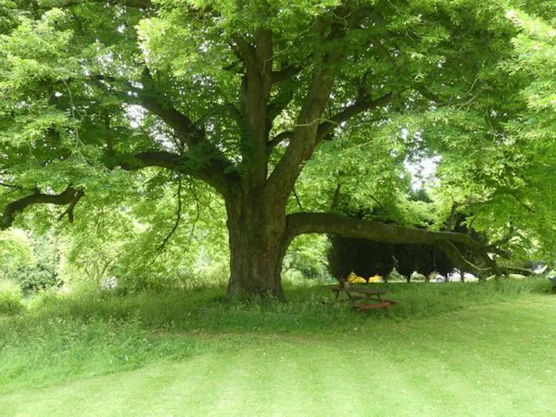 Film location E455 in Hertfordshire (photo 38)