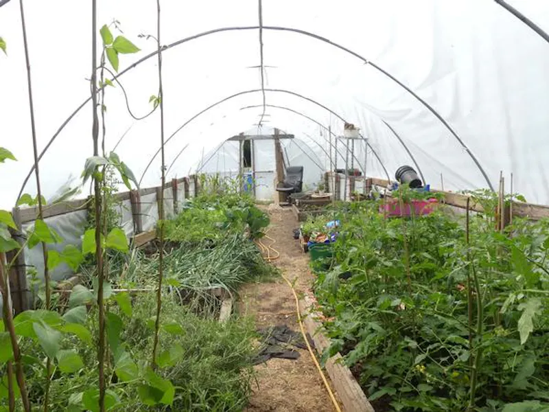 Greenhouse at Film location E455 in Hertfordshire (photo 44)