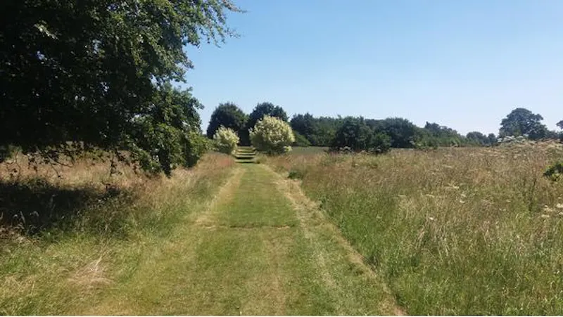 Film location H1014 in Buckinghamshire (photo 21)