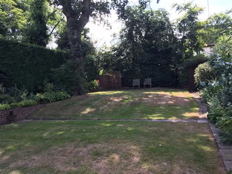 Garden at Film location D2343 in London (photo 12)