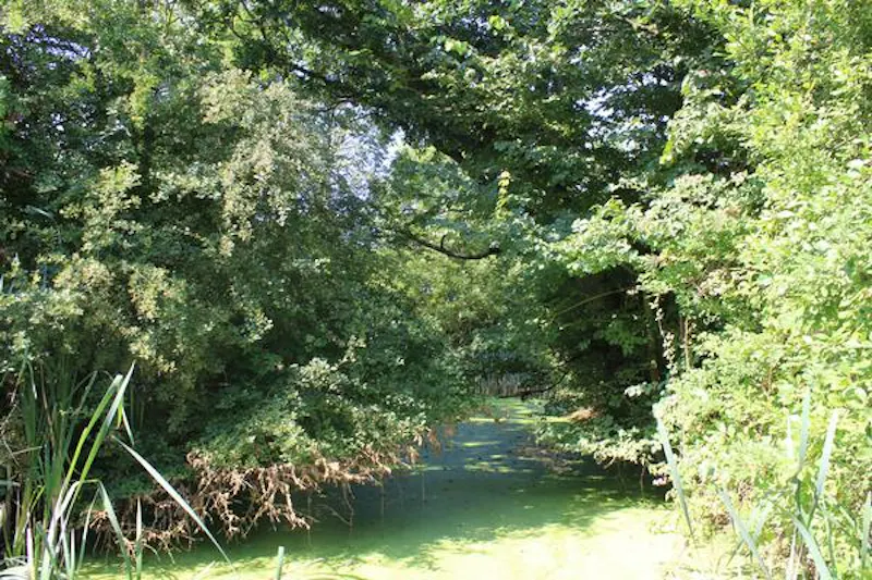 North Byfleet listed country manor, M315 (photo 48)