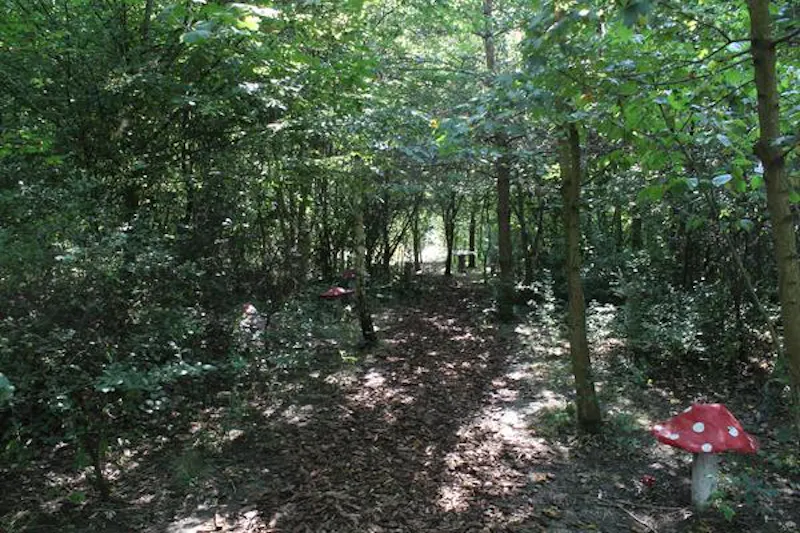 Woodland at North Byfleet listed country manor, M315 (photo 51)