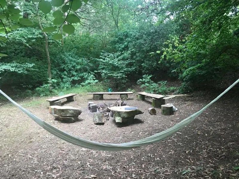 Film location E458 in Hampshire (photo 38)