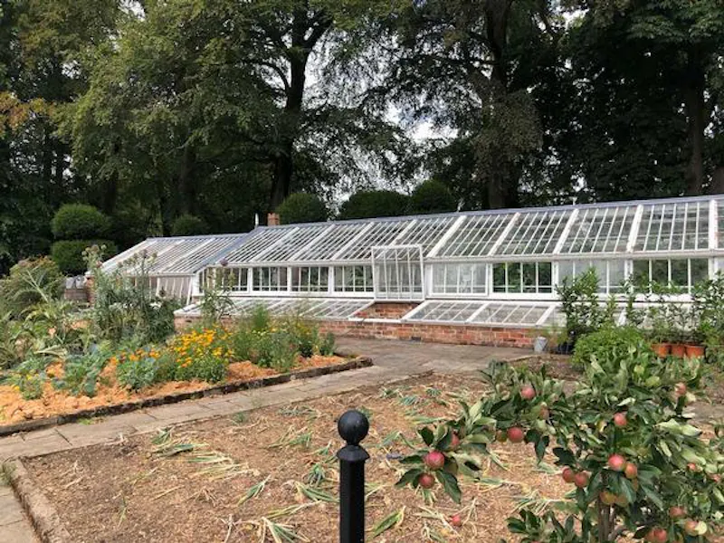 Greenhouse at Film location E459 in Derbyshire (photo 20)