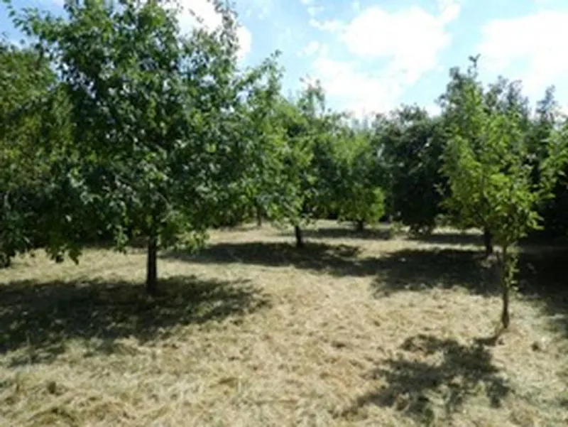 Film location L676 in Hertfordshire (photo 47)