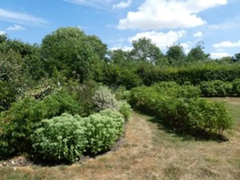 Garden at Film location L676 in Hertfordshire (photo 49)
