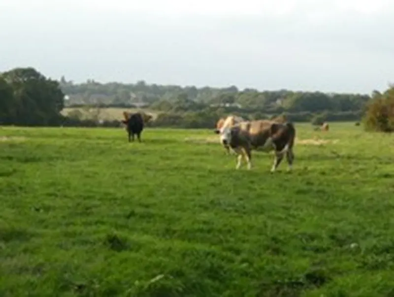 Film location L676 in Hertfordshire (photo 62)