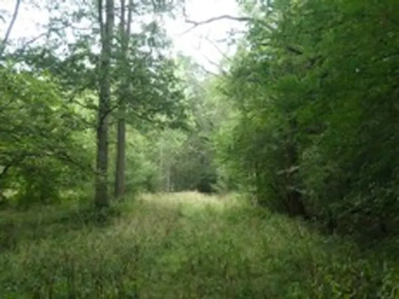 Film location L676 in Hertfordshire (photo 64)