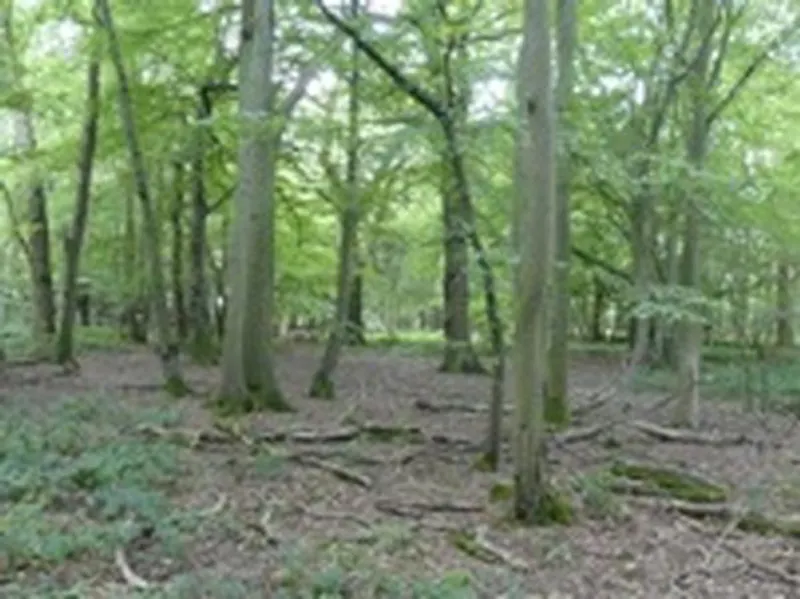 Film location L676 in Hertfordshire (photo 65)