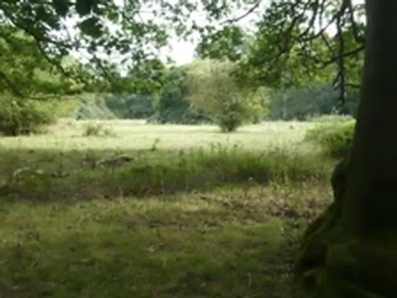 Film location L676 in Hertfordshire (photo 66)
