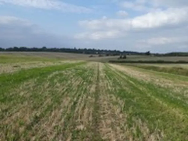 Film location L676 in Hertfordshire (photo 67)