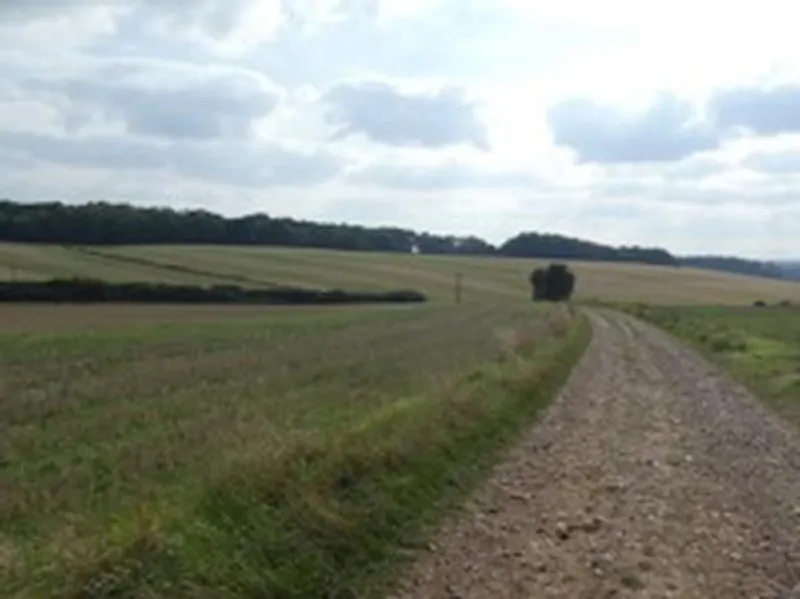 Film location L676 in Hertfordshire (photo 75)