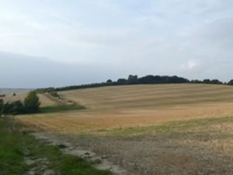 Film location L676 in Hertfordshire (photo 78)