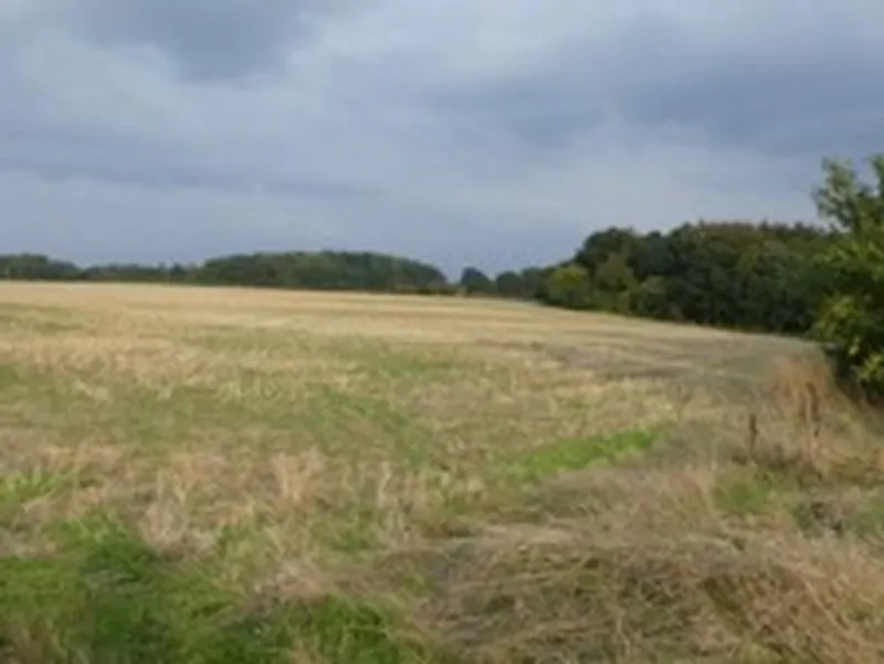 Film location L676 in Hertfordshire (photo 80)