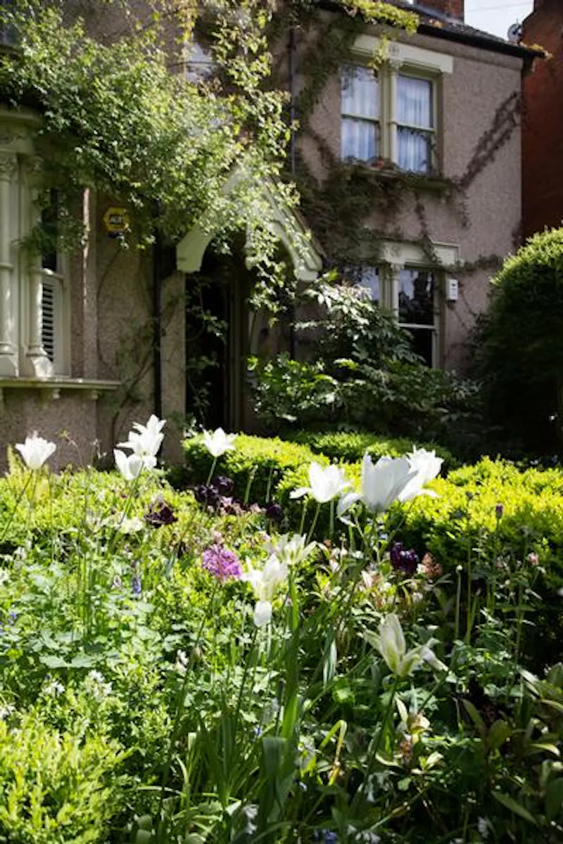 Garden at Stylish Streatham home, B1808 (photo 1)