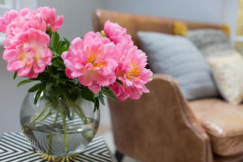 Stylish Streatham home, B1808 (photo 30)
