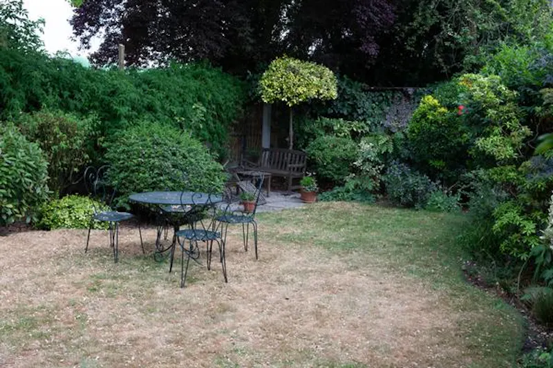 Garden at Family home in Peckham, D2352 (photo 50)